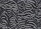1 Yard DTY Brushed Animal Print Fabric 170 GSM Polyester Spandex 58/60" Width